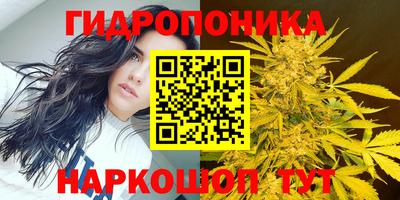 эйфоретик Волжский