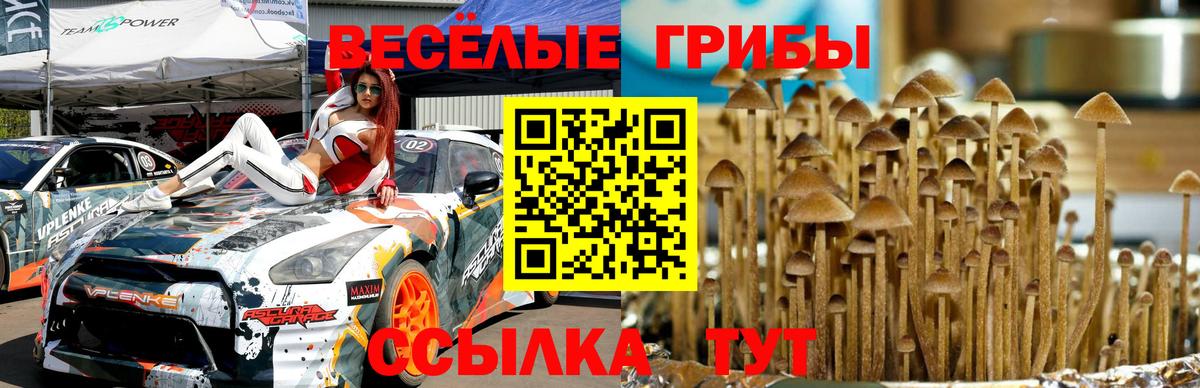 Псилоцибиновые грибы мицелий Баксан